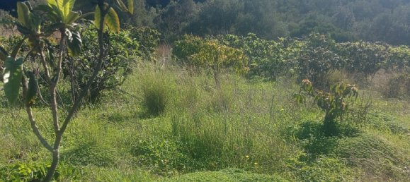 2 Schlafzimmer Haus in Estepona, Spain, Nr. 127555 20