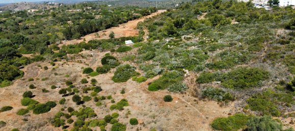 Земельный участок 210м² в Буденш, Португалия № 136889 22