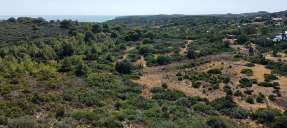 Земельный участок 210м² в Буденш, Португалия № 136889 16