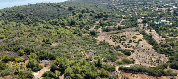 Земельный участок 210м² в Буденш, Португалия № 136889 17