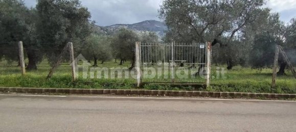 19830m² Land in Cori, Italy No. 108680 3