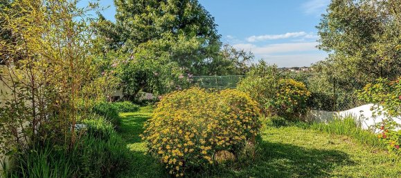 3 غرف نوم منزل في Tomar, Portugal رقم 24958 21