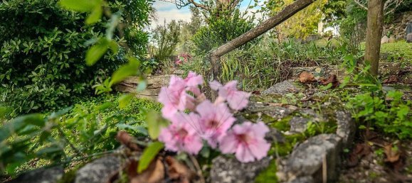 3 غرف نوم منزل في Tomar, Portugal رقم 24958 10