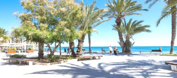 3 bedrooms Apartment in Torrevieja, Spain No. 133318 4