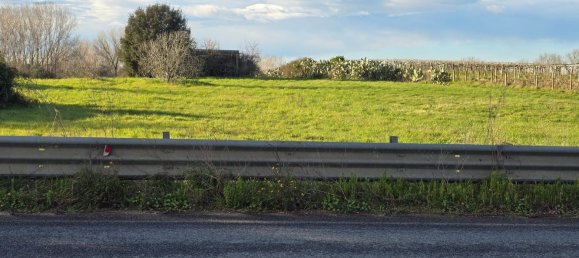  قطعة أرض في Nettuno, Italy 13500متر مربع رقم 105224 4