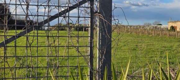  قطعة أرض في Nettuno, Italy 13500متر مربع رقم 105224 2