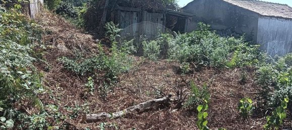 1 Schlafzimmer Haus in Oliveira do Hospital, Portugal, Nr. 309718 9