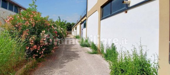 Entrepôt à Maiolati Spontini, Italy 2079m² No. 317782 14