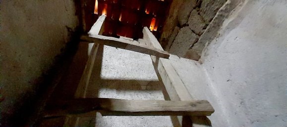 3 غرف نوم منزل في Seixo da Beira, Portugal رقم 15596 30