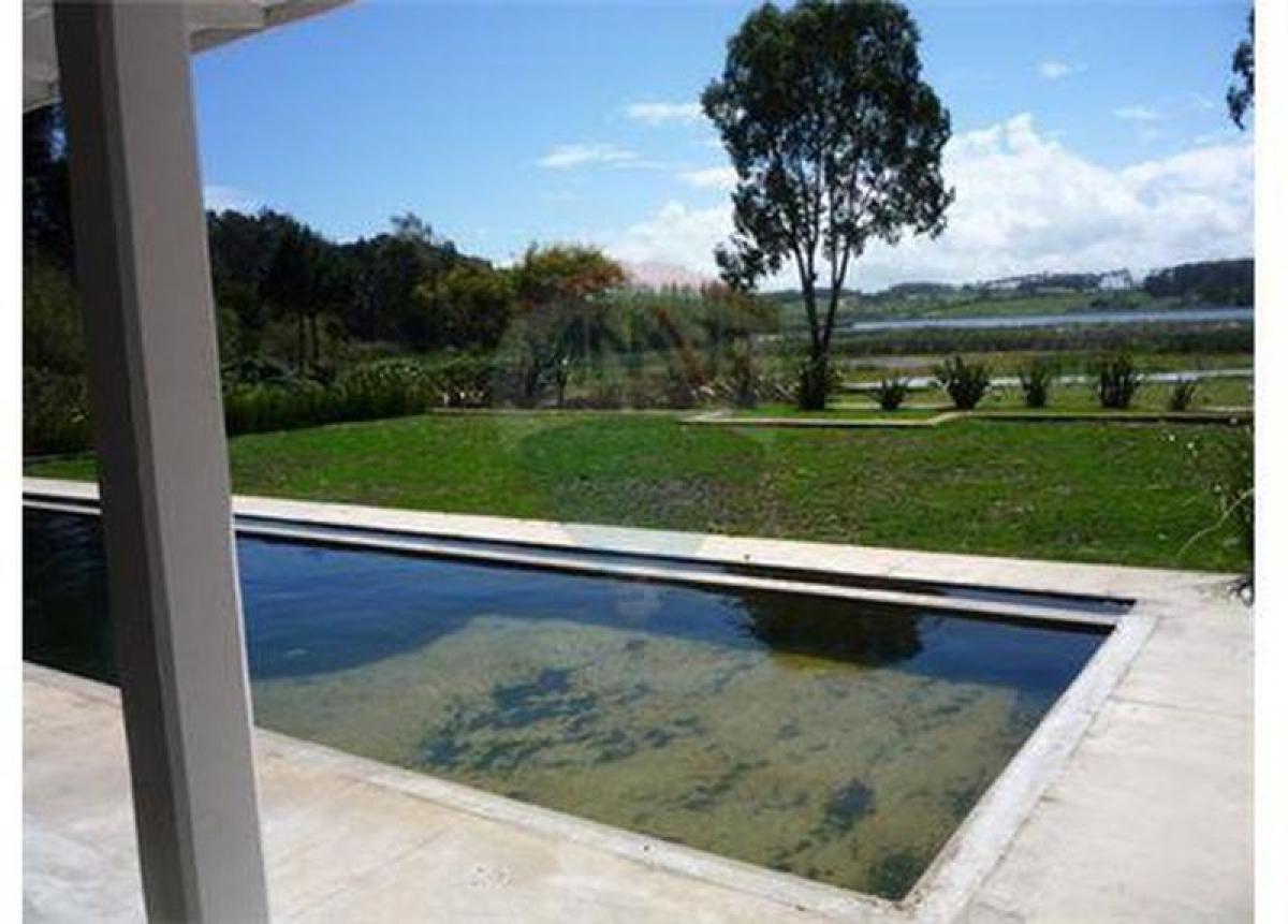 4 bedrooms House in Maldonado, Uruguay No. 5182