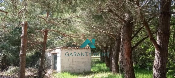 3 Schlafzimmer Haus in Salamanca, Spain, Nr. 105173 10