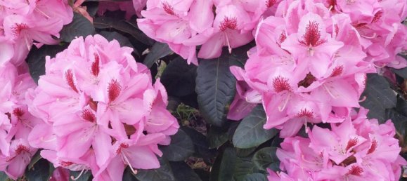 Apartamento de 4 habitaciónes en Munich, Germany No. 289535 10