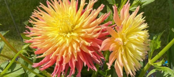 Apartamento de 4 habitaciónes en Munich, Germany No. 289535 11