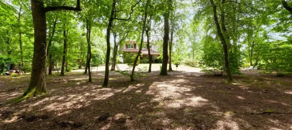 5 bedrooms House in Saint-Pierre-du-Mont, France No. 351001 10