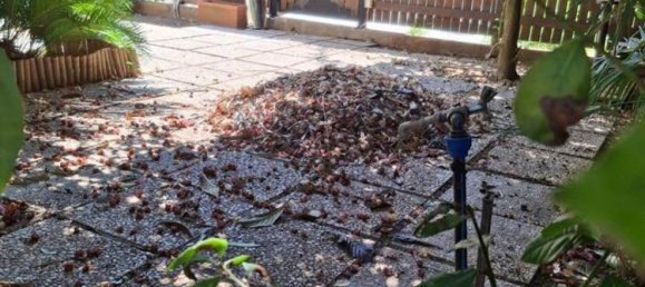 Casa de 3 divisões em Terracina, Italy N.º 307132 3