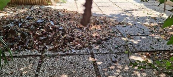 Casa de 3 divisões em Terracina, Italy N.º 307132 6