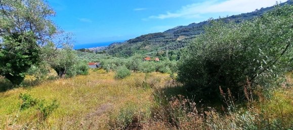 9659m² Land in Diano Castello, Italy No. 138802 9