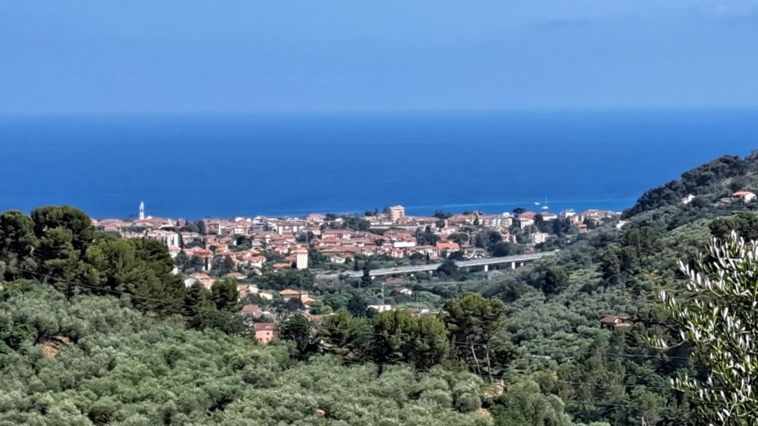 9659m² Land in Diano Castello, Italy No. 138802