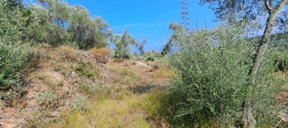 9659m² Land in Diano Castello, Italy No. 138802 8