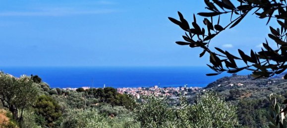 9659m² Land in Diano Castello, Italy No. 138802 2