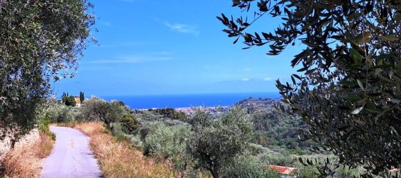 9659m² Land in Diano Castello, Italy No. 138802 5