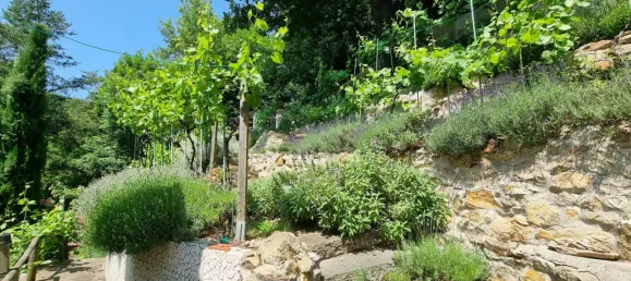 8غرفة فيلا في Dobling, Austria رقم 223509 18