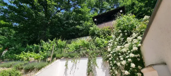 8غرفة فيلا في Dobling, Austria رقم 223509 13