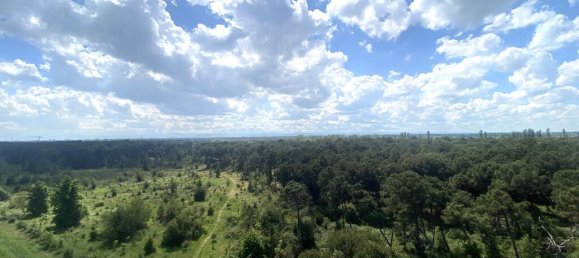 6غرفة بانتهاوس في Cervia, Italy رقم 27468 8