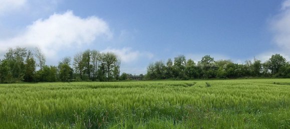 Terreno en Taufkirchen an der Pram, Austria No. 243122 4