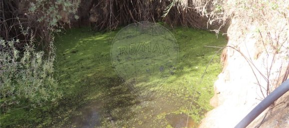 9 bedrooms House in Fundao, Portugal No. 74671 3