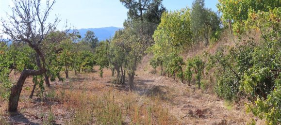 9 bedrooms House in Fundao, Portugal No. 74671 17