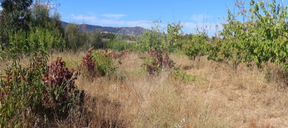 9 bedrooms House in Fundao, Portugal No. 74671 7