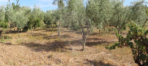 9 bedrooms House in Fundao, Portugal No. 74671 24