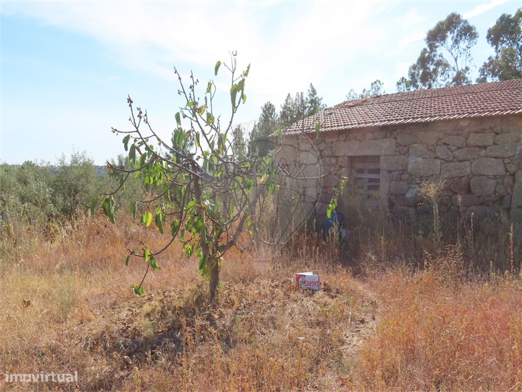 9 bedrooms House in Fundao, Portugal No. 74671