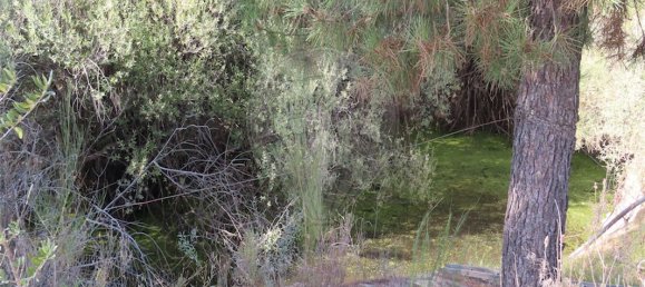 9 bedrooms House in Fundao, Portugal No. 74671 14