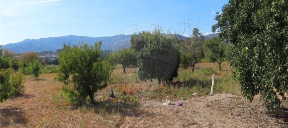 9 bedrooms House in Fundao, Portugal No. 74671 23