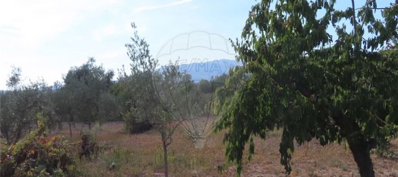 9 bedrooms House in Fundao, Portugal No. 74671 20