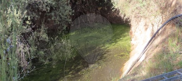 9 bedrooms House in Fundao, Portugal No. 74671 4