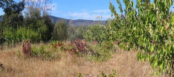 9 bedrooms House in Fundao, Portugal No. 74671 8