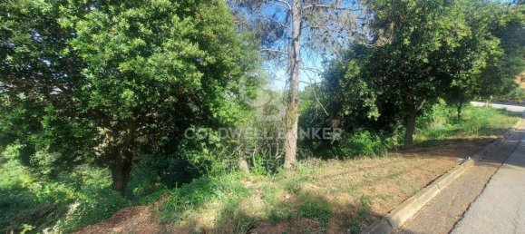 2092m² Land in Matadepera, Spain No. 85990 13