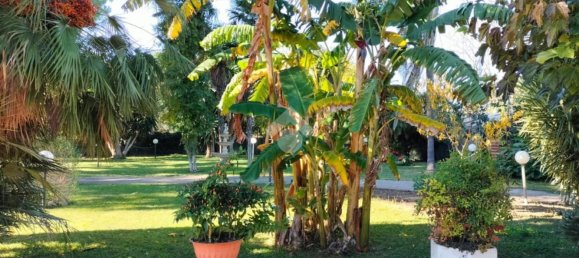 6 rooms Villa in Castellaneta, Italy No. 129797 17