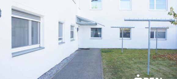 3غرفة شقة في Hofen, Austria رقم 223784 21