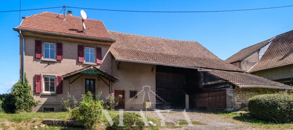 3 bedrooms House in Pfetterhouse, France No. 153194 2