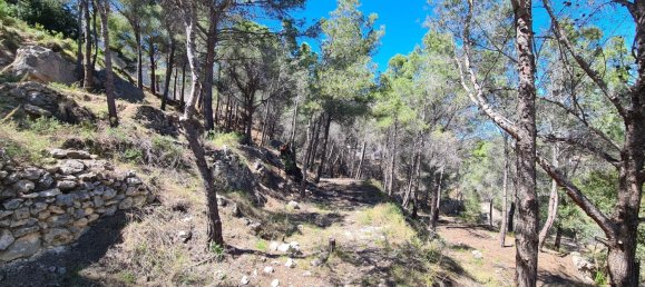 Земельный участок в Кальпе, Испания № 12097 8