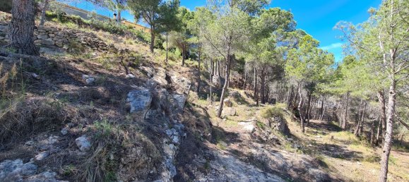 Земельный участок в Кальпе, Испания № 12097 7