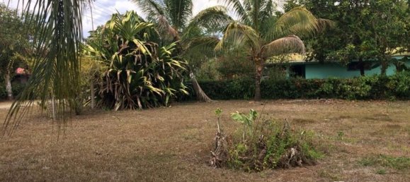 Terrain à Los Chiles, Costa Rica No. 1600 4