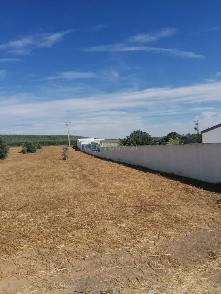 Земельный участок 3250м² в Алжуштрел, Португалия № 268687