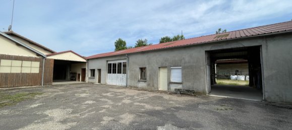 323m² Commercial property in Langres, France No. 262243 21