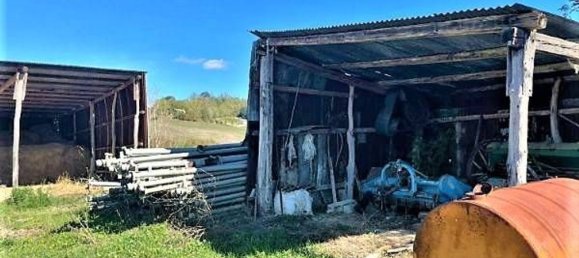 4-Zimmer Haus in Petritoli, Italy, Nr. 110231 4