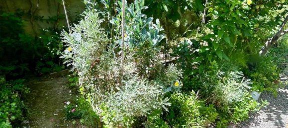 5 rooms House in Ponsacco, Italy No. 170165 4